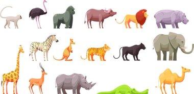 Tropikal vahşi hayvanlar ayarla