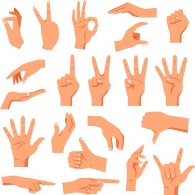 Set Of Hands, vektör illüstrasyonu