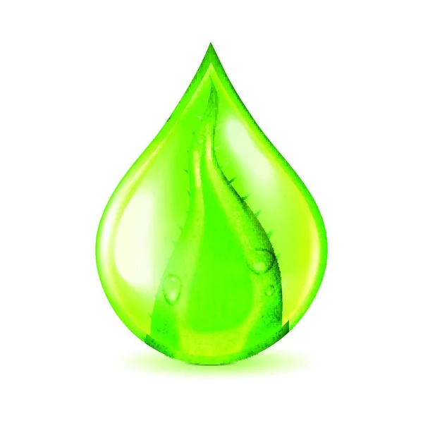 アロエの葉の水滴のイラスト — ストックベクタ