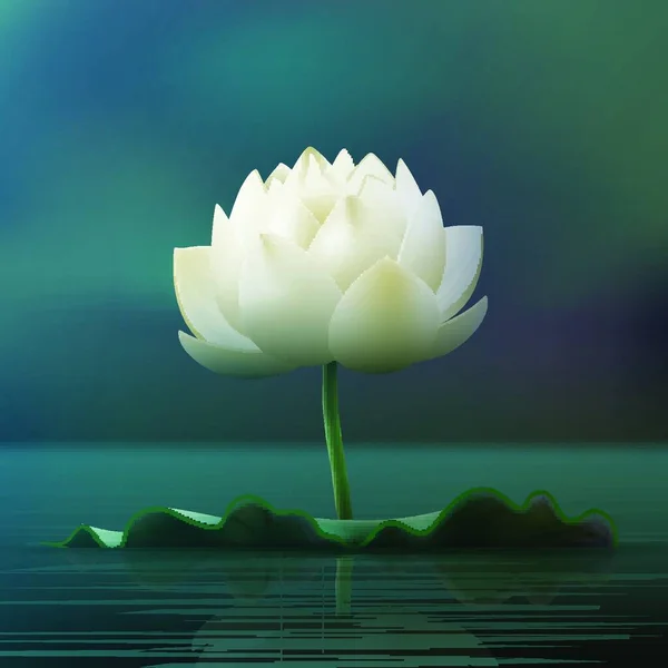 Vit Lotus Blomma Vektor Illustration — Stock vektor