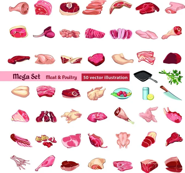 Набор Элементов Цветной Птицы Мяса — стоковый вектор