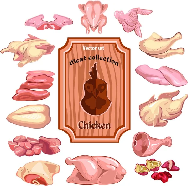 Farbige Handgezeichnete Fleischsammlung — Stockvektor