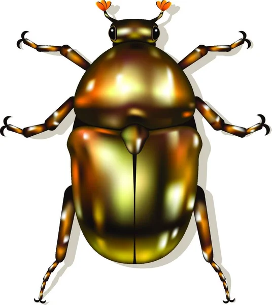 Beetle Icon Vector Illustration — Stock Vector