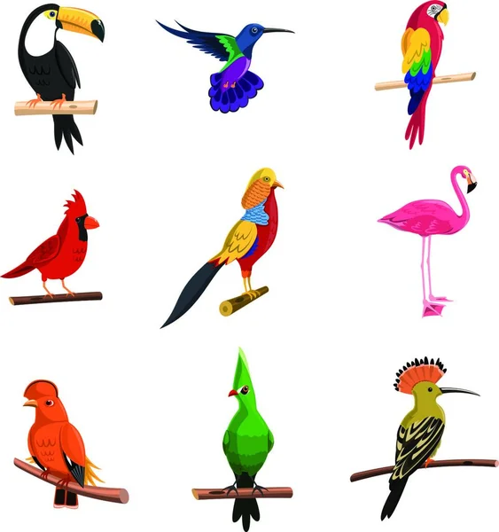 Exotic Birds Set Vector Illustration — Stock Vector