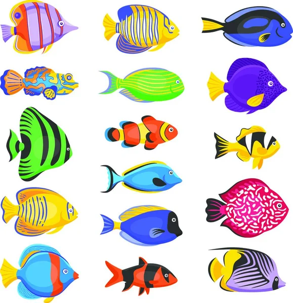 Exotisk Fisk Som Vektor Illustration — Stock vektor