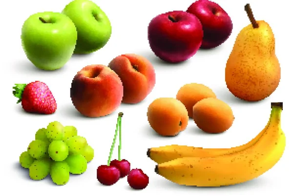 Meyveler Gerçekçi Vektör Tanımlamasını Ayarlar — Stok Vektör