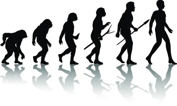 Illustration Der Evolution Des Menschen — Stockvektor