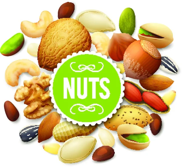 Nut Collection Vector Illustration — Stock Vector