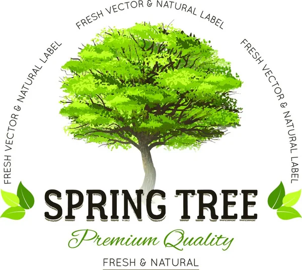 Ağaç Tipografisi Logosu Grafik Vektör Illüstrasyonu — Stok Vektör