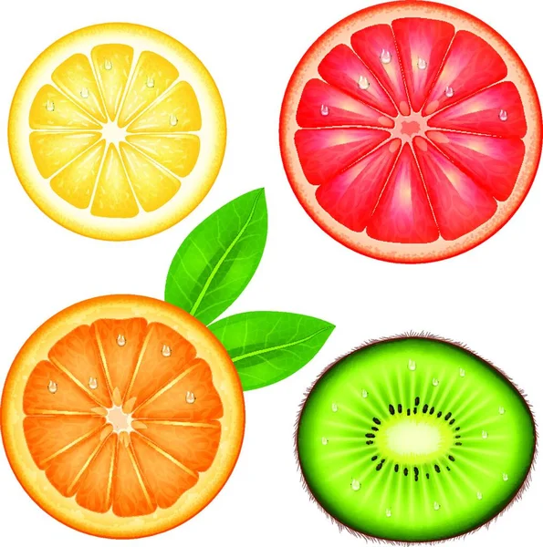 Früchte Top Set Grafische Vektorillustration — Stockvektor