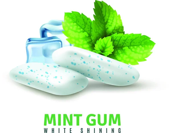 Realistic Mint Gum Graphic Vector Illustration — Stock Vector