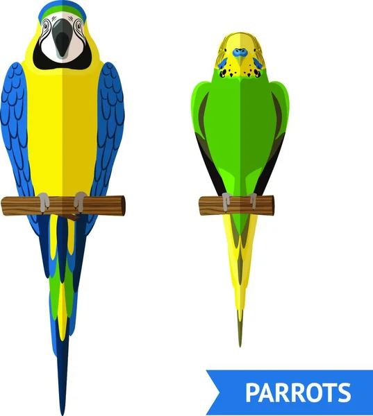 Sitting Parrots Set Vector Ilustración — Archivo Imágenes Vectoriales