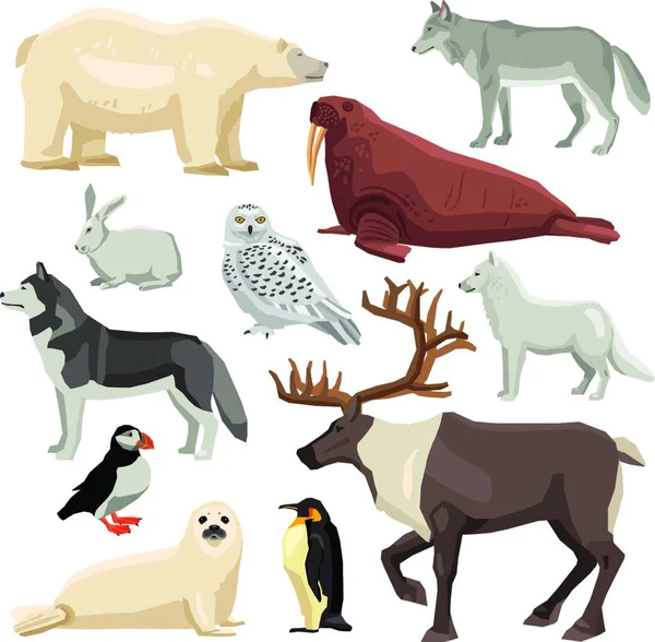 Polar Animals Set Vektor Illustration — Stock vektor