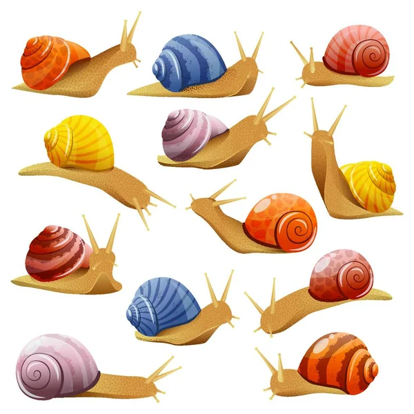 Decorative Snails Set Vector Illustration — Stock Vector