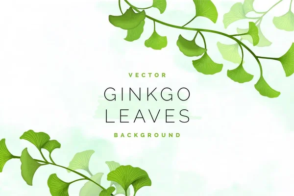 Ginkgo Löv Bakgrund Vektor Illustration — Stock vektor