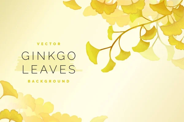 Gingko Φύλλα Φόντου Διανυσματική Απεικόνιση — Διανυσματικό Αρχείο