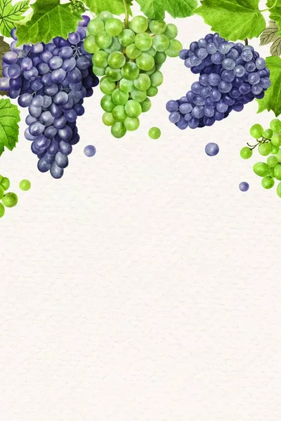 Grapes Background Modern Vector Illustration — Stock Vector