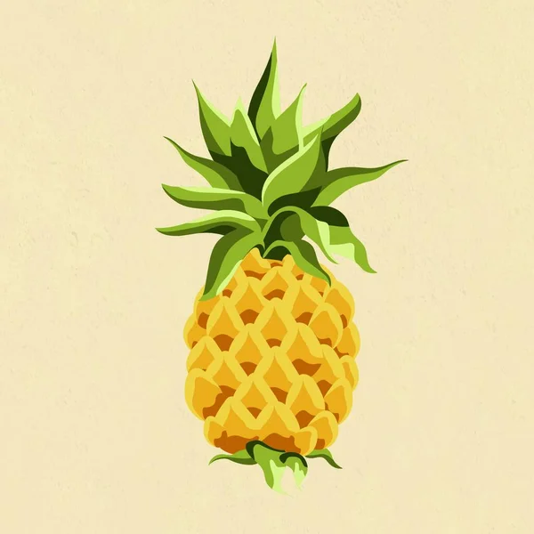 Pineapple Modern Vector Illustration — Stock Vector