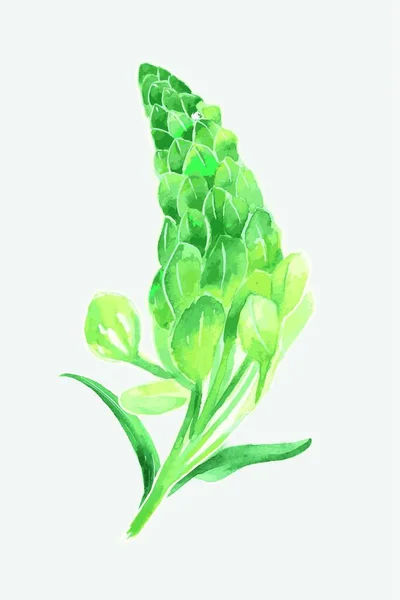 Groene Plant Aquarel Achtergrond Vector Illustratie — Stockvector