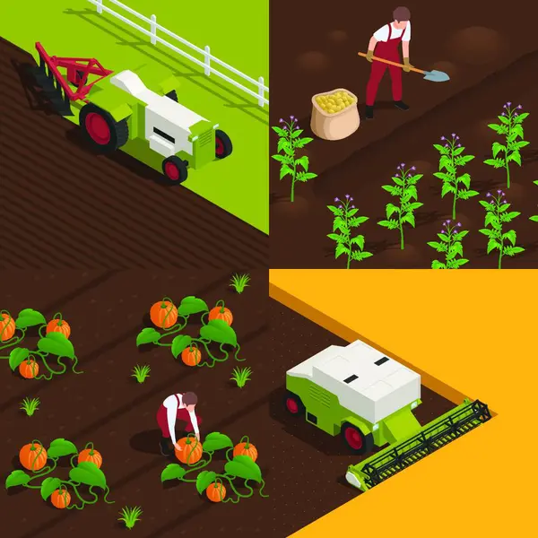 Zemědělská Zemědělská Vektorová Ilustrace — Stockový vektor
