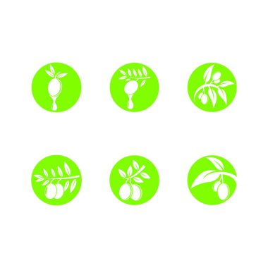 Zeytin vektörü simgesi, renkli vektör illüstrasyonu 