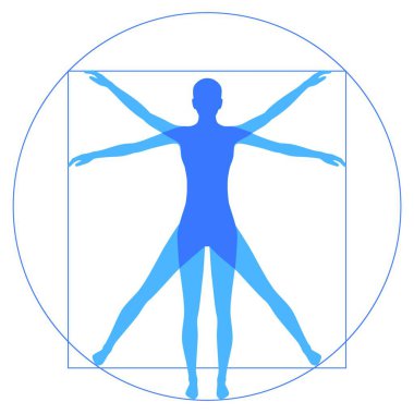  Vitruvian insanı, basit vektör çizimi