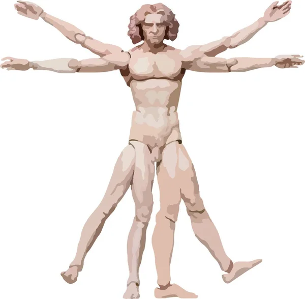 Vitruvian Άνθρωπος Απλή Διανυσματική Απεικόνιση — Διανυσματικό Αρχείο