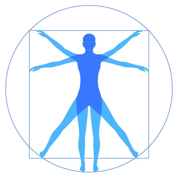 Vitruvian Human Simple Vector Illustration — Stock Vector
