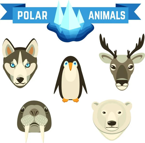 Set Animali Polari Illustrazione Vettoriale — Vettoriale Stock