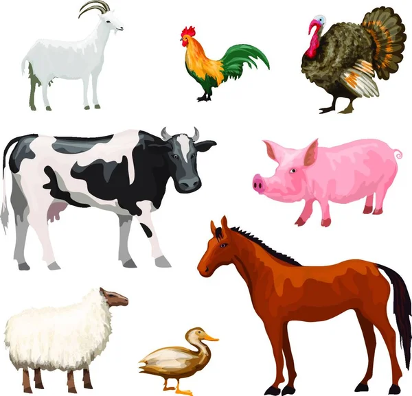Farm Animals Set Vector Illustration — Stock Vector