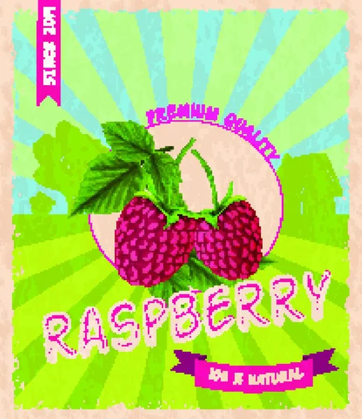 Raspberry Retro Poster Colorful Vector Illustration — Stock Vector