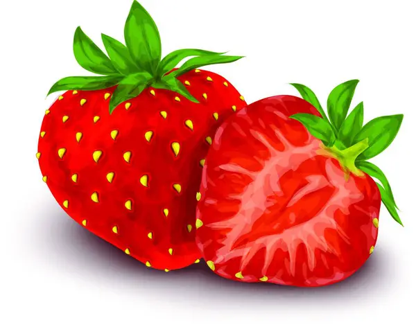 Strawberry Isolated Poster Colorful Vector Illustration — Stock Vector
