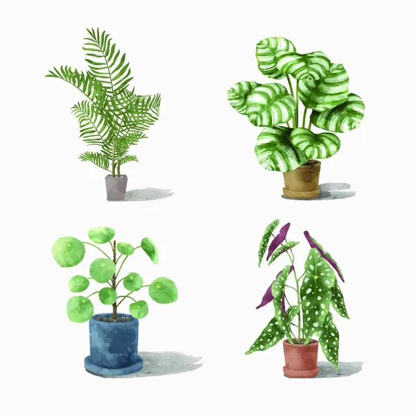 Plantes Pot Illustration Vectorielle — Image vectorielle