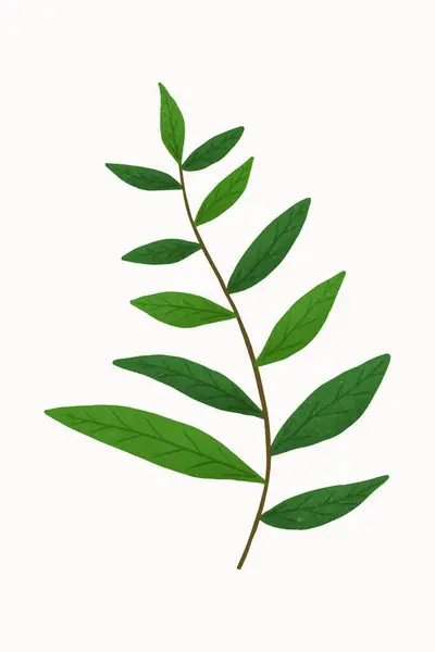 緑の葉ベクトル図 — ストックベクタ