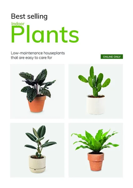 Plantes Pot Illustration Vectorielle Colorée — Image vectorielle