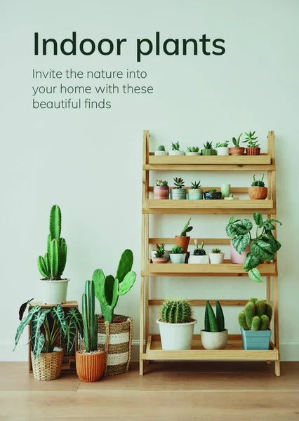 Plantas Interior Ilustração Vetorial Colorido — Vetor de Stock