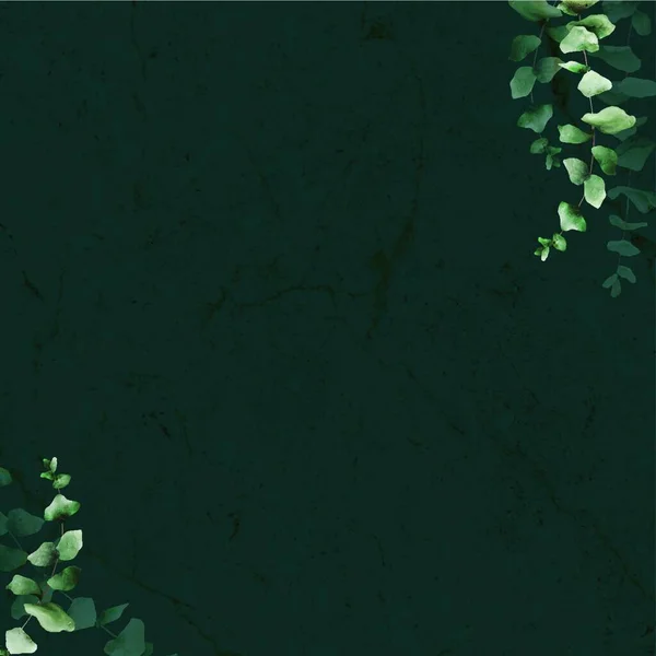 植物框架植物背景图 — 图库矢量图片