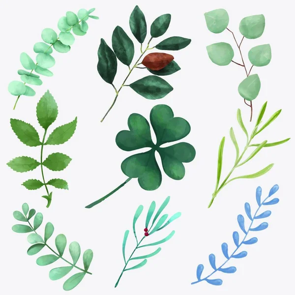 Φύλλα Φυτά Διανυσματική Απεικόνιση — Διανυσματικό Αρχείο