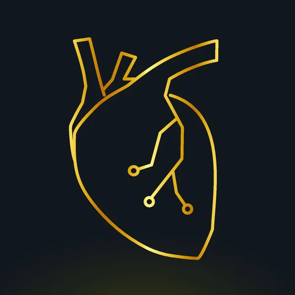 Людське Серце Векторні Ілюстрації — стоковий вектор