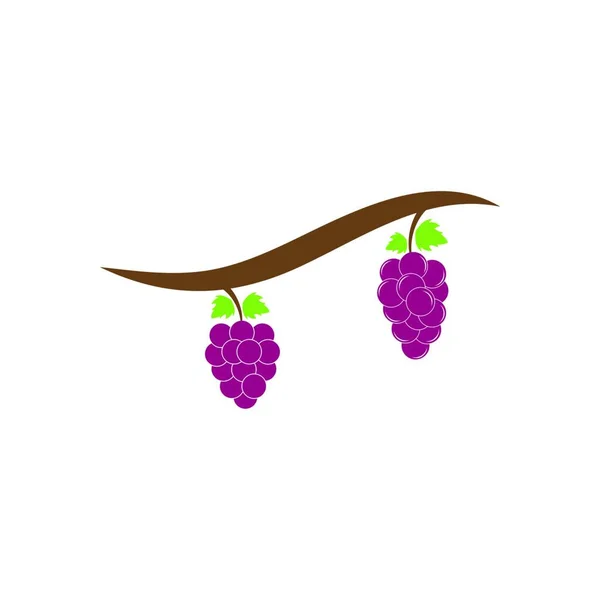 Grapes Logotyp Mall Vektor Ikon Illustration — Stock vektor