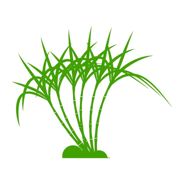 Suikerriet Logo Template Vector Symbool — Stockvector