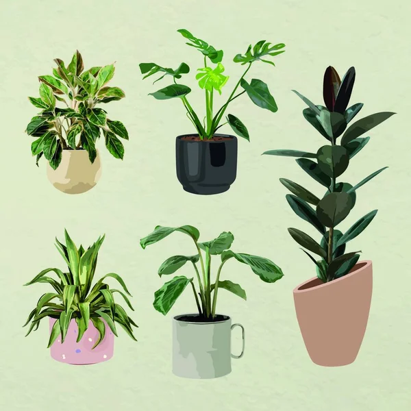 Vektor Illustration Für Topfpflanzen — Stockvektor