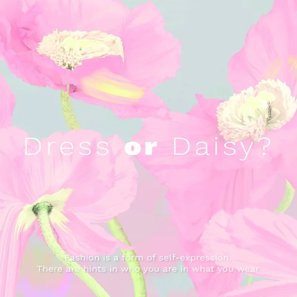 Phrase Dress Daisy Pink — Stock Vector