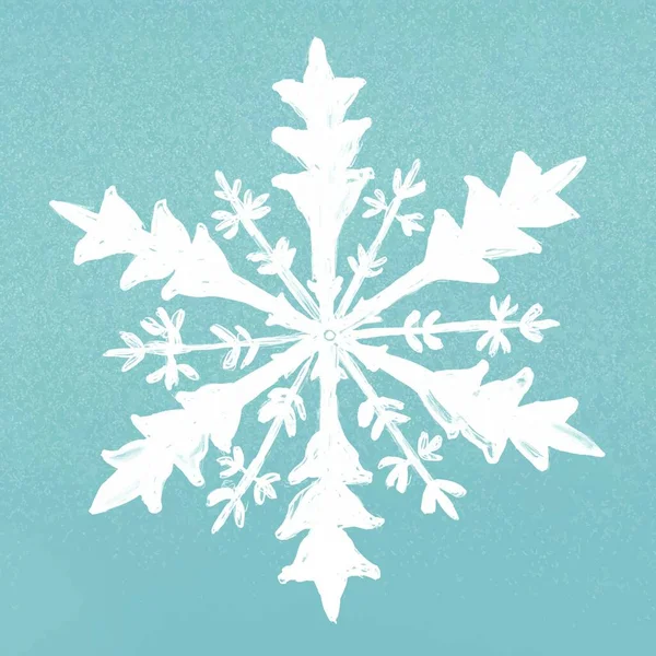 Beautiful Snowflake Icon Vector Illustration — Stock Vector