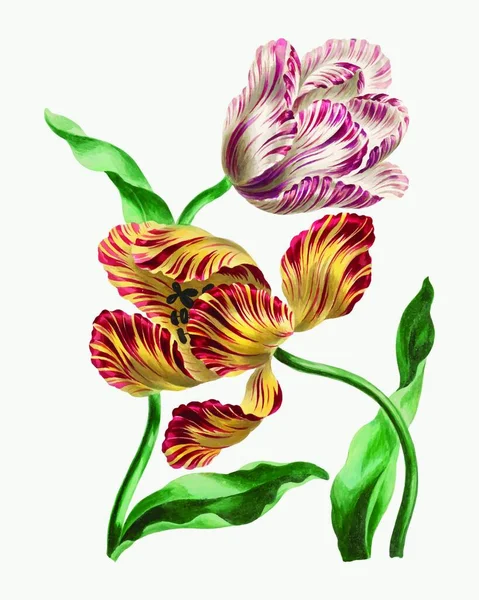 カラフルな手描きの花カード ベクトルイラスト — ストックベクタ