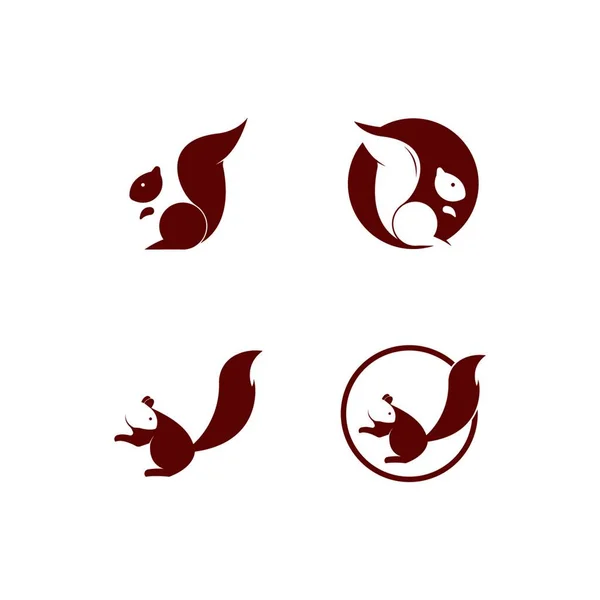 Eichhörnchen Logo Vektor Illustration — Stockvektor