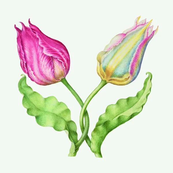 Abstract Color Vector Flower Illustration — ストックベクタ