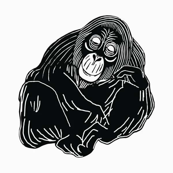 Illustration Des Tiervektors Von Affen — Stockvektor
