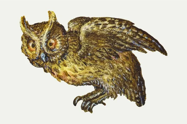 Owl Fågel Vektorillustration — Stock vektor
