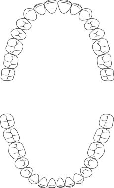 Diş diş vektörü illüstrasyonu 